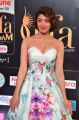 Actress Pranitha Subhash @ IIFA Utsavam 2017 Green Carpet (Day 2) Pictures