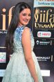 Actress Vimala Raman @ IIFA Utsavam 2017 Green Carpet (Day 2) Pictures