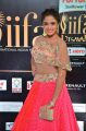 Actress Asmita Sood @ IIFA Utsavam 2017 Green Carpet (Day 2) Pictures
