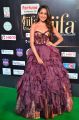 Actress Pragya Jaiswal @ IIFA Utsavam 2017 Green Carpet (Day 2) Pictures