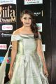 IIFA Utsavam 2017 Green Carpet (Day 2) Pictures