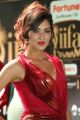 Actress Vidisha Srivastava @ IIFA Utsavam 2017 Green Carpet (Day 2) Pictures