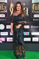 Actress SOna Heiden @ IIFA Utsavam 2017 Green Carpet (Day 2) Pictures