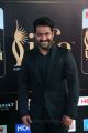 Actor Jr NTR @ IIFA Utsavam 2017 Green Carpet (Day 2) Pictures