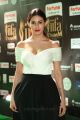 Amyra Dastur @ IIFA Utsavam 2017 Green Carpet (Day 2) Pictures