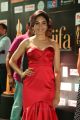 Actress Ritu Varma @ IIFA Utsavam 2017 Green Carpet (Day 2) Pictures