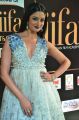 Actress Vimala Raman @ IIFA Utsavam 2017 Green Carpet (Day 2) Pictures