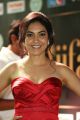 Actress Ritu Varma @ IIFA Utsavam 2017 Green Carpet (Day 2) Pictures