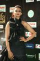 Actress Rakul Preet Singh @ IIFA Utsavam 2017 Green Carpet (Day 2) Pictures