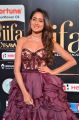 Actress Pragya Jaiswal @ IIFA Utsavam 2017 Green Carpet (Day 2) Pictures