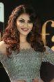 Actress Urvashi Rautela @ IIFA Utsavam 2017 Green Carpet (Day 2) Pictures