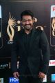 Actor Jr NTR @ IIFA Utsavam 2017 Green Carpet (Day 2) Pictures