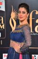 Actress Raai Laxmi @ IIFA Utsavam 2017 Green Carpet (Day 2) Pictures