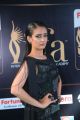 Akshara Haasan @ IIFA Utsavam 2017 Green Carpet (Day 2) Pictures