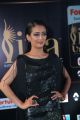 Akshara Haasan @ IIFA Utsavam 2017 Green Carpet (Day 2) Pictures