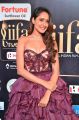 Actress Pragya Jaiswal @ IIFA Utsavam 2017 Green Carpet (Day 2) Pictures