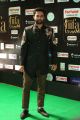 Navdeep @ IIFA Utsavam 2017 Green Carpet (Day 2) Pictures