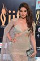 Actress Tanya Hope @ IIFA Utsavam 2017 Green Carpet (Day 2) Pictures