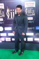 Actor Jr NTR @ IIFA Utsavam 2017 Green Carpet (Day 2) Pictures