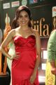 Actress Ritu Varma @ IIFA Utsavam 2017 Green Carpet (Day 2) Pictures