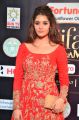 Ritika Singh @ IIFA Utsavam 2017 Green Carpet (Day 2) Pictures