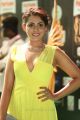 Actress Madhu Shalini @ IIFA Utsavam 2017 Green Carpet (Day 2) Pictures