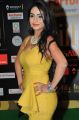 Pooja Sri @ IIFA Utsavam Awards 2016 Day 2 Stills