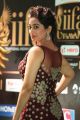 Actress Tejaswini Prakash @ IIFA Utsavam Awards 2017 Green Carpet Stills