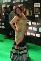 Actress Sona Heiden @ IIFA Utsavam Awards 2017 Green Carpet Stills