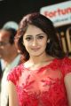 Actress Sayesha Saigal @ IIFA Utsavam Awards 2017 Green Carpet Stills