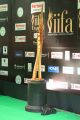IIFA Utsavam Awards 2017 Green Carpet Stills