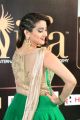 Anchor Manjusha @ IIFA Utsavam Awards 2017 Green Carpet Stills