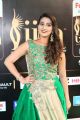 Anchor Manjusha @ IIFA Utsavam Awards 2017 Green Carpet Stills