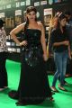 Actress Neetu Chandra @ IIFA Utsavam Awards 2017 Green Carpet Stills