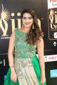 Anchor Manjusha @ IIFA Utsavam Awards 2017 Green Carpet Stills