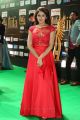 Actress Sayesha Saigal @ IIFA Utsavam Awards 2017 Green Carpet Stills