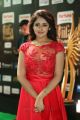 Actress Sayesha Saigal @ IIFA Utsavam Awards 2017 Green Carpet Stills