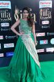 Anchor Manjusha @ IIFA Utsavam Awards 2017 Green Carpet Stills