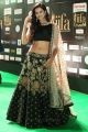 Actress Shubra Aiyappa @ IIFA Utsavam Awards 2017 Green Carpet Stills