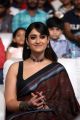 Telugu Actress Ileana in Brown Saree Photos HD