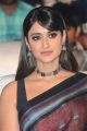 Telugu Actress Ileana D'Cruz in Brown Saree Photos HD