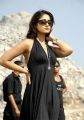 Ileana in Black Dress Hot Photos in Kick Movie