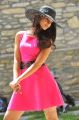 Devudu Chesina Manushulu Ileana Hot in Pink Dress Pics