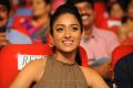 Hot Ileana in Sleeveless Dress at DCM Audio Release Function