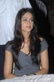 Ileana New Cute Stills