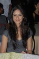 Ileana New Cute Stills