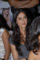 Ileana New Cute Stills