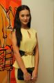 Amy Jackson at Inbox 1305 4th Anniversary Stills