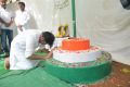 Independence Day celebrations at Janasena office Photos