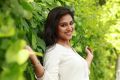Tamil Actress Indhuja Photoshoot Pics
